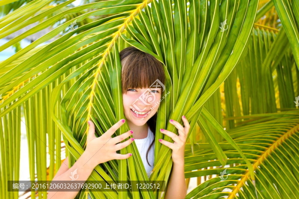 棕櫚樹(shù)上的小女孩