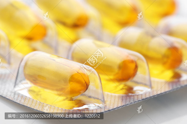 橢圓囊