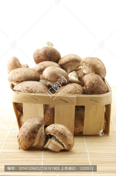 蘑菇