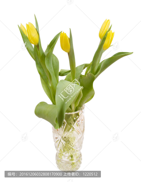 水晶花瓶中的黃色郁金香花束