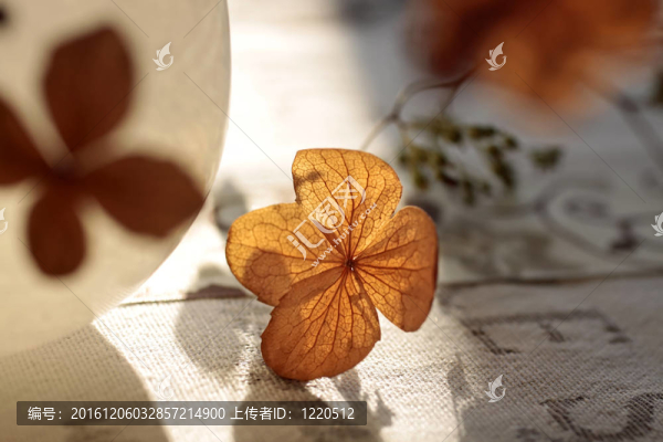 秋季裝修