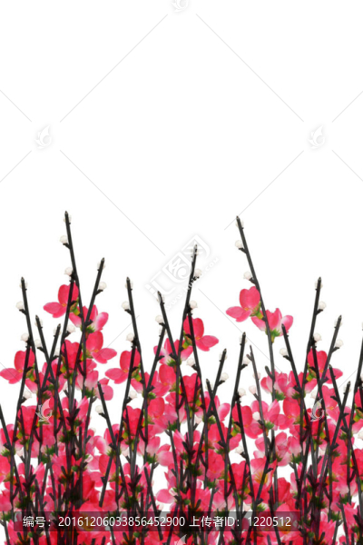 梅花的背景