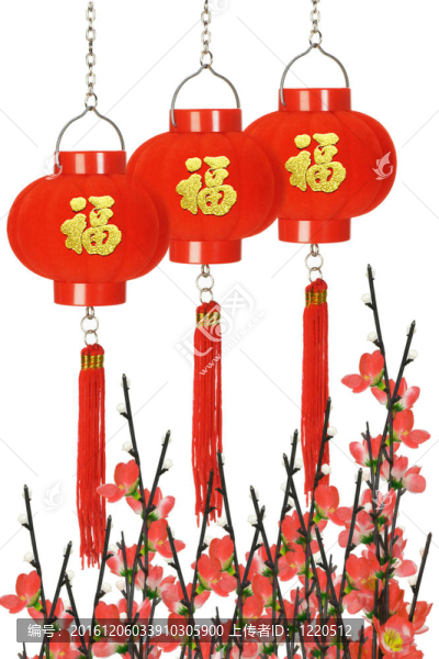 中國花燈梅花