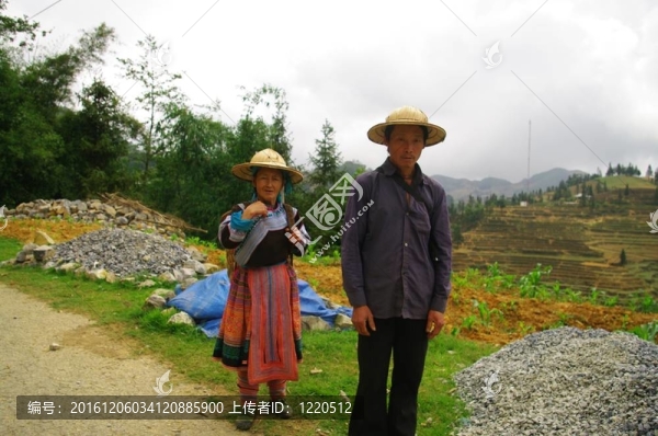對苗族花種族