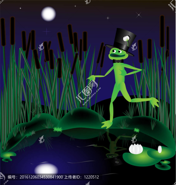 青蛙的小夜曲