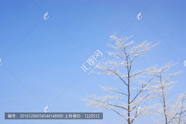 覆蓋在藍(lán)天上的積雪
