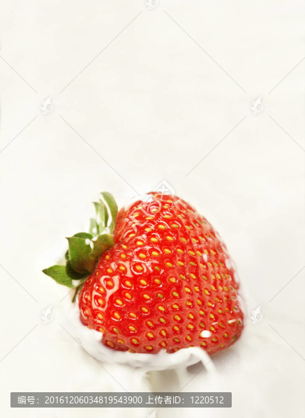 草莓