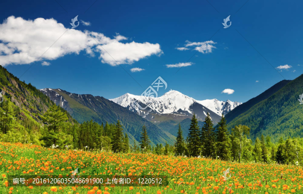 山地景觀