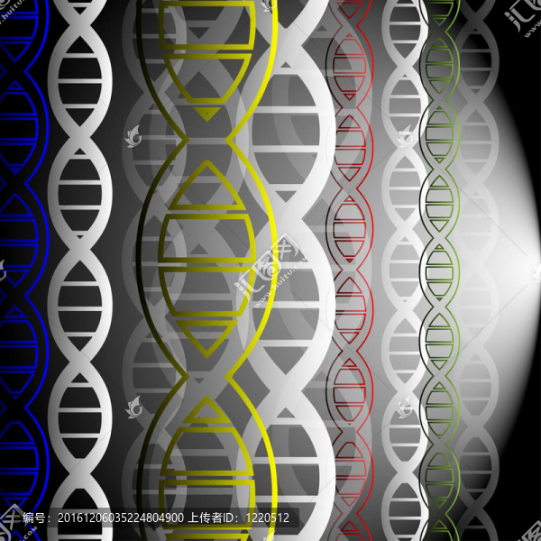 DNA