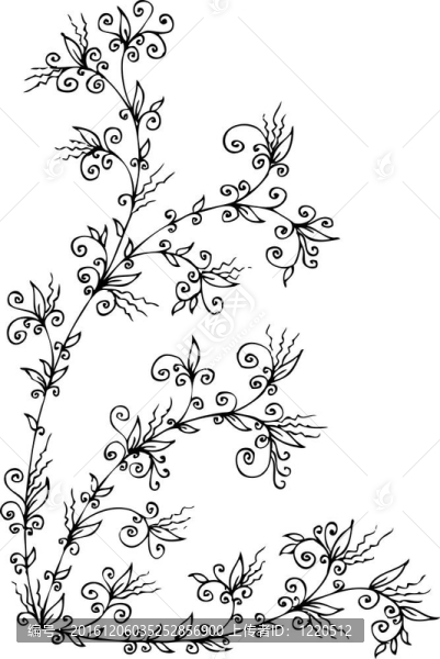 花的小插曲