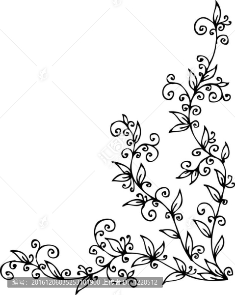 花的小插曲