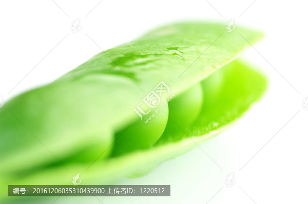 豌豆莢
