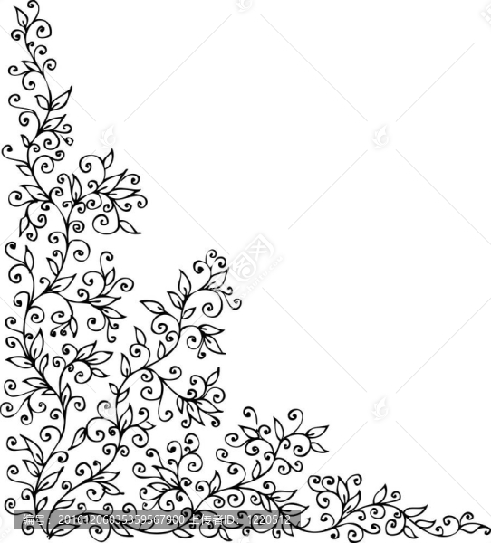 花的小插曲