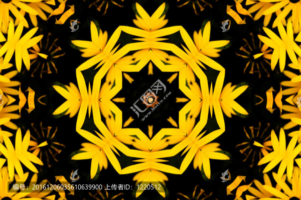 萬花筒似的曼陀羅花
