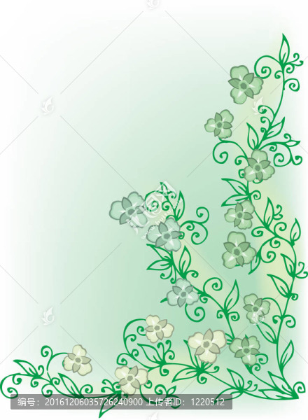 精致的花的小插曲