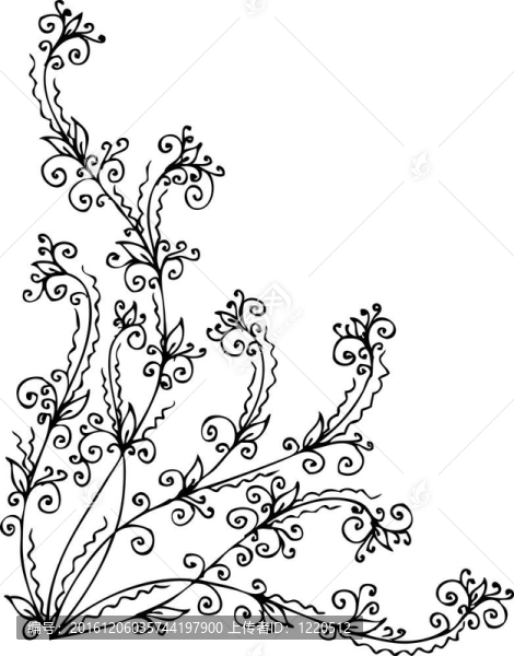 精致的小插曲不足
