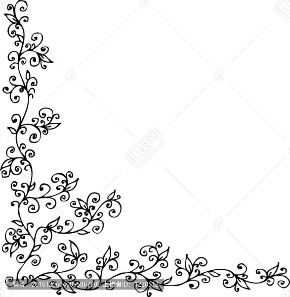 花的小插曲