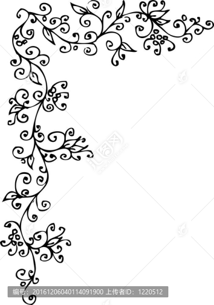 花的小插曲