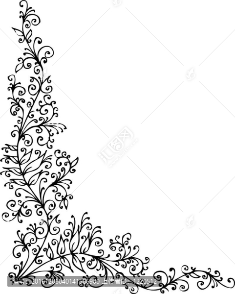 花的小插曲