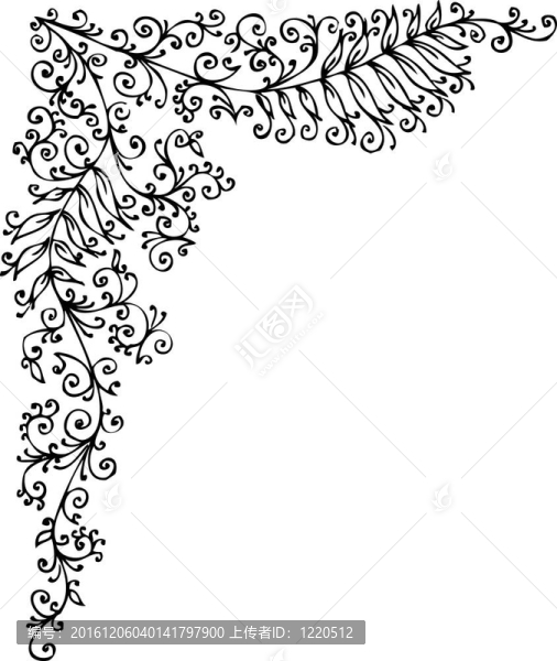 花的小插曲