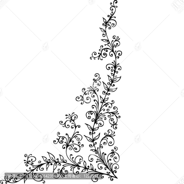 花的小插曲