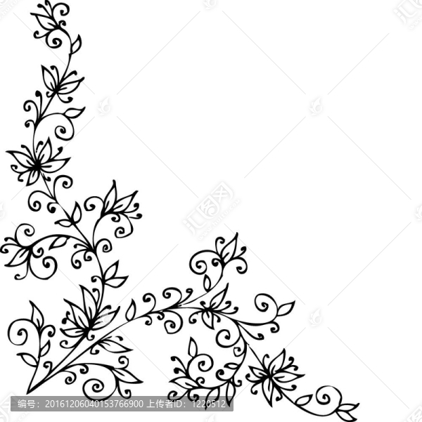 花的小插曲