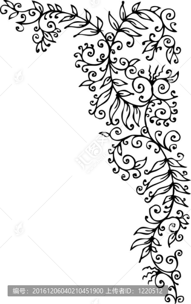 花的小插曲