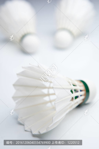 羽毛球