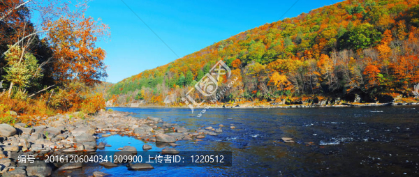 秋色河全景