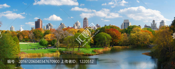 紐約市中央公園全景