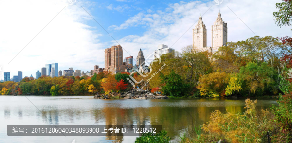 紐約市中央公園全景