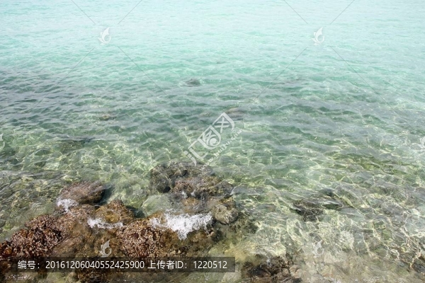 海水