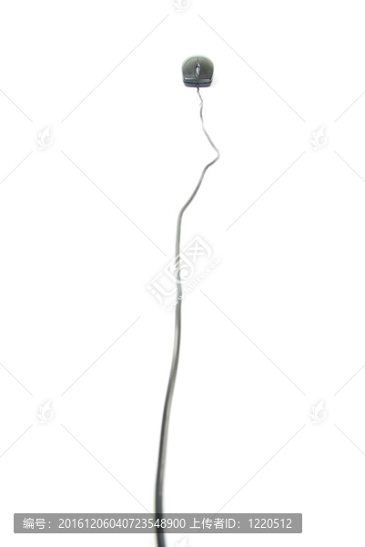 電腦鼠標(biāo)