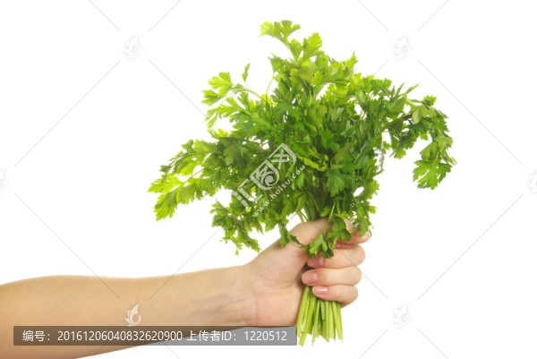 西芹