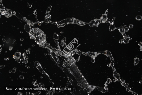 水花