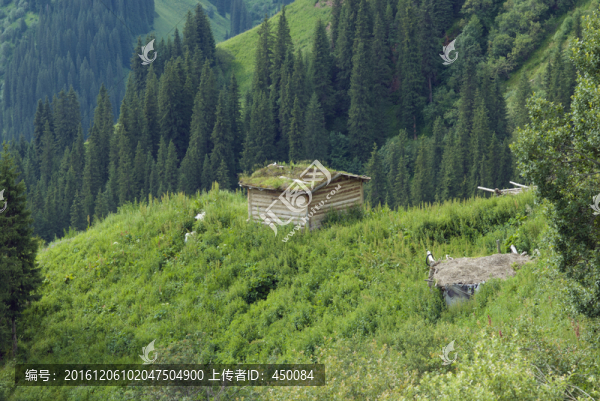 山中小屋