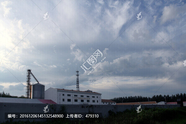 米業(yè),加工廠,工業(yè),農(nóng)業(yè)