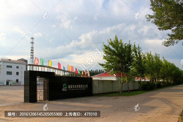 米業(yè),加工廠