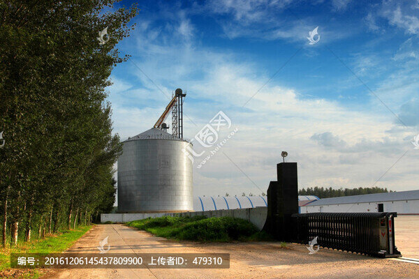 米業(yè),加工廠,工業(yè),農(nóng)業(yè)