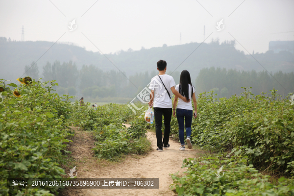 年輕戀人背影
