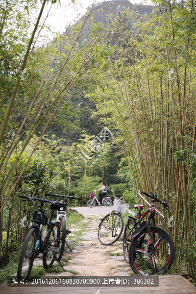竹園
