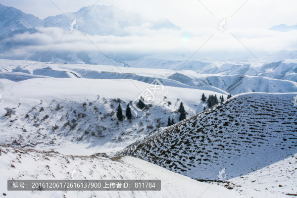 天山山脈積雪