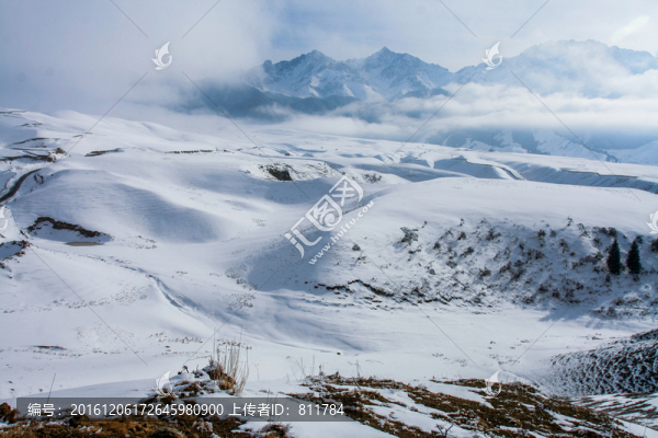 天山山脈積雪