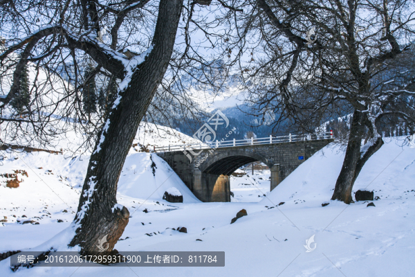天山山脈積雪