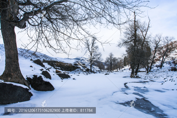 天山山脈積雪