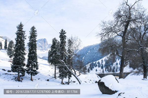 天山山脈積雪
