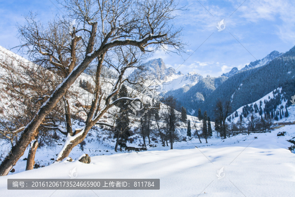 天山山脈積雪