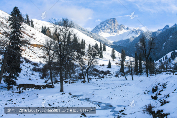 天山山脈積雪
