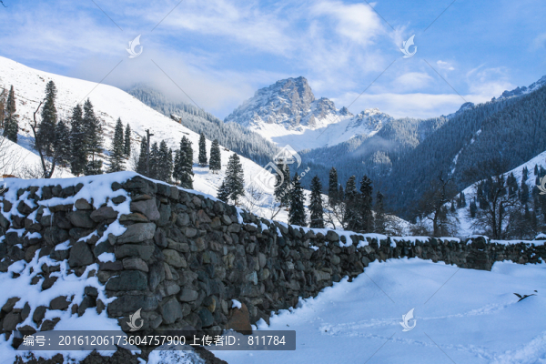 天山山脈積雪