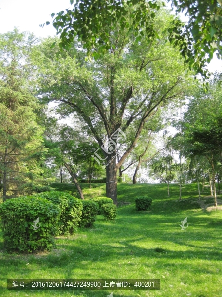 公園綠地